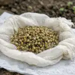 Bezgalīgas dārza dobes noslēpums jeb kā iegūt pirmo pētersīļu ražu divas nedēļas pirms kaimiņiem bezgaligas-darza-dobes-noslepums-jeb-ka-iegut-pirmo-petersilu-razu.png