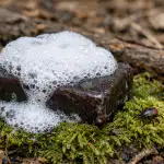 Darvas ziepes būs jūsu slepenā aizsardzība pret ērcēm šajā pavasarī darvas-ziepes-bus-jusu-slepena-aizsardziba-pret-ercem-saja-pavasari.png